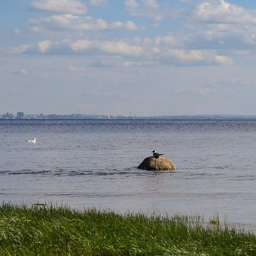 Нетривиальный Петербург: архитектурно-футуристичная прогулка по Лахте-Ольгино