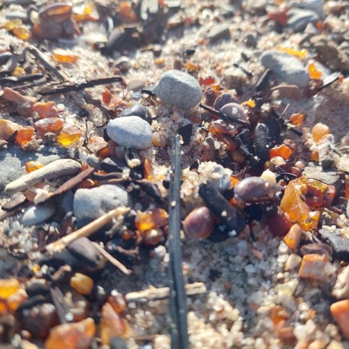 Более 9 городов Калининградской области: автопутешествие только для вашей компании