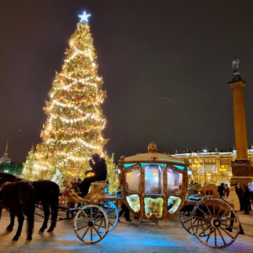 Знакомство с Петербургом: обзорная экскурсия + Эрмитаж (билеты включены)