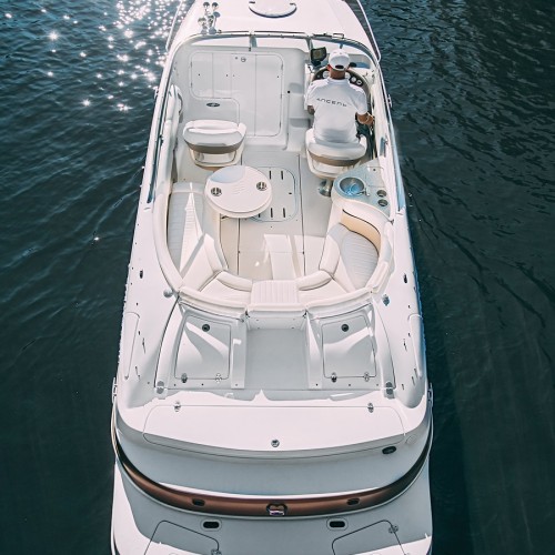 Прогулка на катере «Апсель» к Финскому заливу