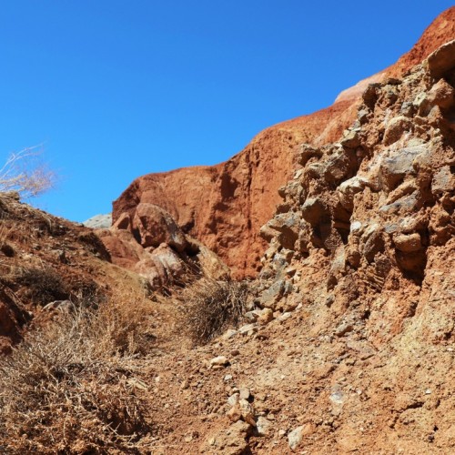 Топовые и необычные места Алтая в мини-группе: Чуйский тракт, озеро Джангыскёль и лёгкий треккинг