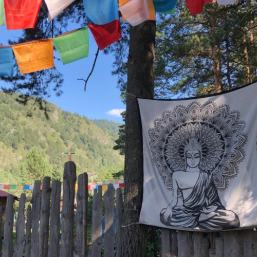 Возрождающая сила Алтая: ретрит-тур в женской компании