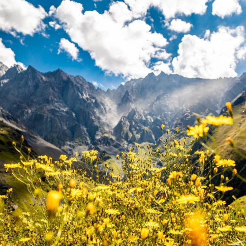 Большой релакс-тур 2 в 1: Ингушетия и Осетия, экскурсии по главным местам и 3 дня отдыха в термах