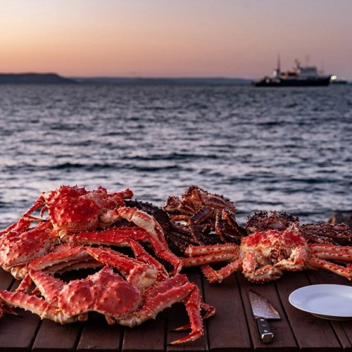 Большое путешествие по Камчатке: вулканы, глэмпинг в Мёртвом лесу и круиз в бухту Русская