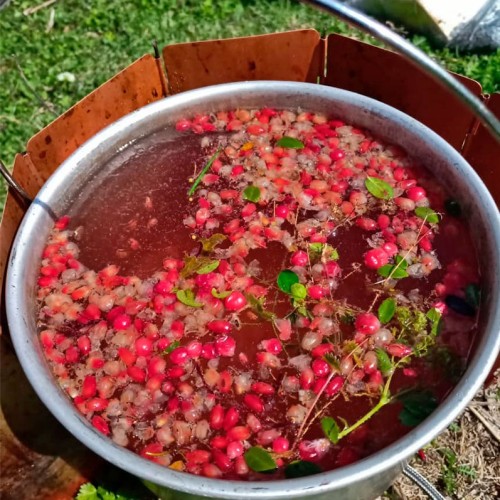 Домбай и Архыз: треккинг налегке с проживанием в гостинице