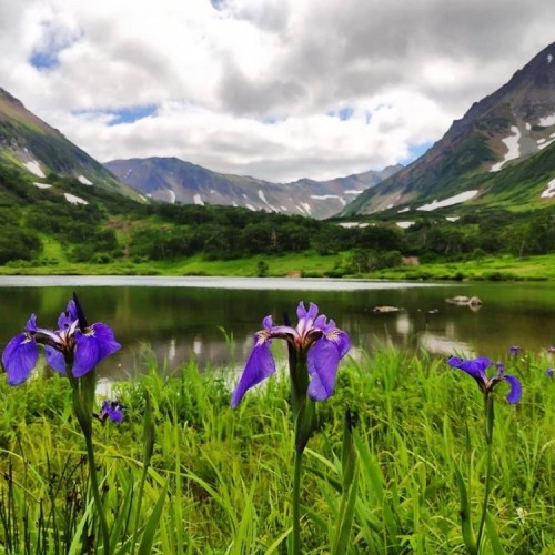 Экспедиция по Камчатке с восхождениями на вулканы, морской прогулкой и рыбалкой