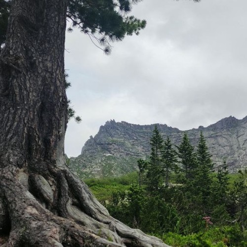 Сокровища природного парка «Ергаки»: треккинг с рюкзаками и ночёвками в палатках