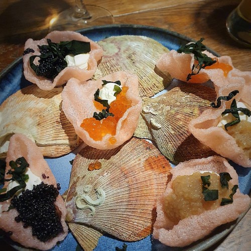 Вкус Арктики: Мурманск, Териберка и этнодеревня в мини-группе