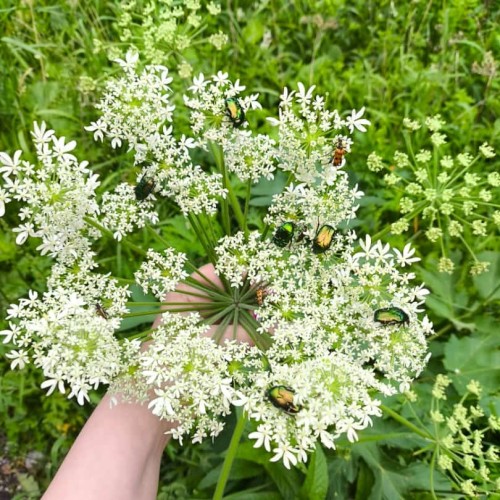 В мире легенд и невероятных ландшафтов: насыщенный мини-тур по Алтаю