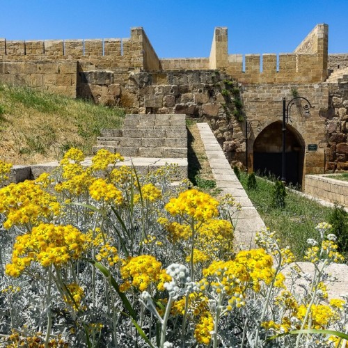 В объятиях гор Дагестана: красивые места, старинные башни и атмосферные аулы