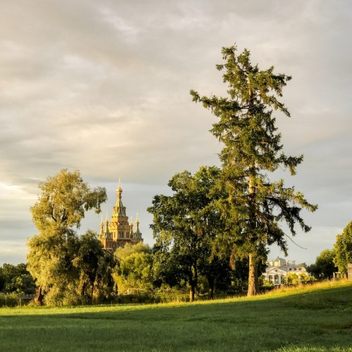 Не фонтаны: прогулка по непарадному Петергофу
