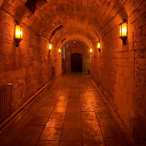 Санкт-Петербург, Кронштадт и Гатчина на авто в мини-группе