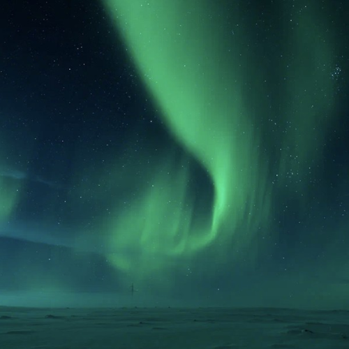На Север за впечатлениями: северное сияние, Териберка, саамская деревня, хаски и олени