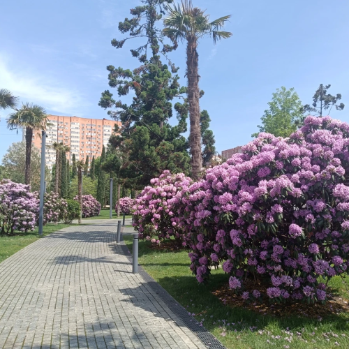 Прогулка по парку Галицкого в Краснодаре