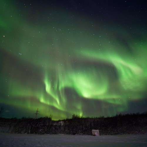 Экспресс-тур по Арктике в мини-группе: Териберка, северное сияние, гастрономия, хаски и олени