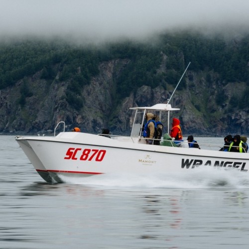 Навстречу гренландским китам: экспедиция к Шантарским островам с лекциями биологов