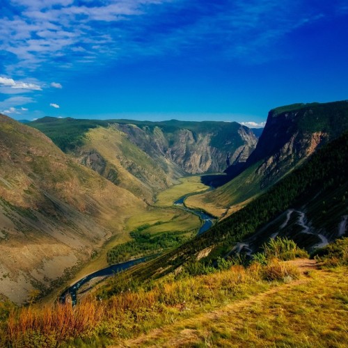 Алтайские места силы и древние петроглифы (в мини-группе)