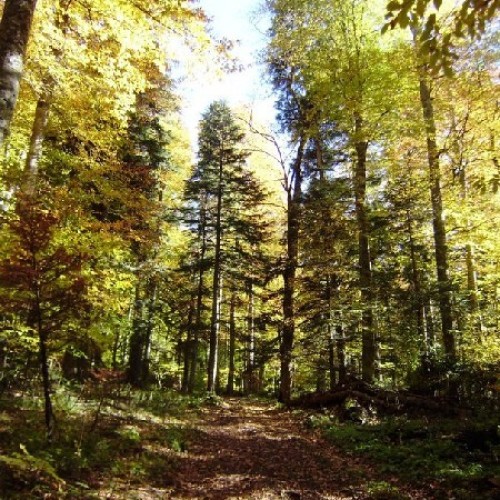 Поход на Большой Тхач