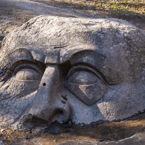 Сергиевка, Ораниенбаум и Кронштадт за 1 день!