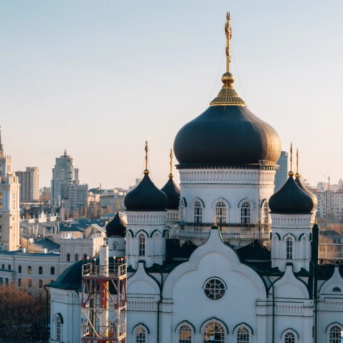 Воронеж и удивительный мир бобров