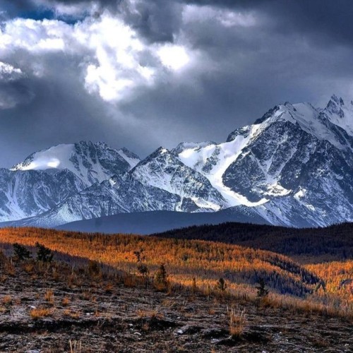 Шёлковый путь Алтая — из Горно-Алтайска