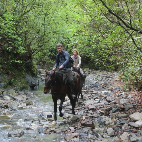 Приключения на лошадях в Сочи для новичков и опытных: по ущельям, долинам и лесам