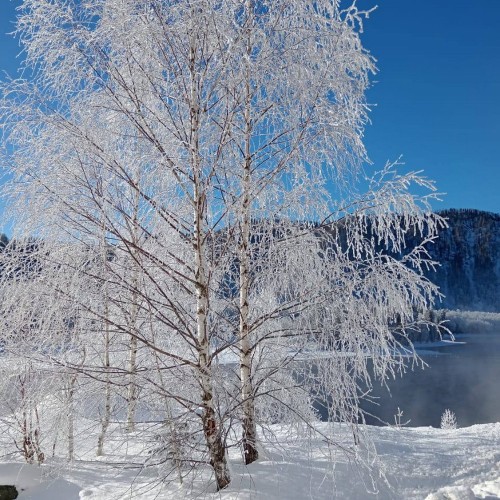 Из Горно-Алтайска — на айс-флоатинг в Телецком озере