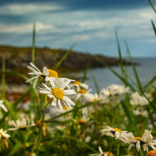 С фотографом на полуострова Рыбачий и Средний (в палатках): мастер-классы по съёмке океана и тундры