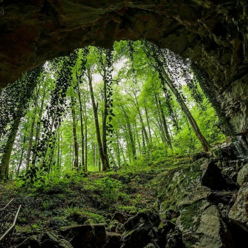 Сочи: по каньонам, пещерам и в самшитовый лес
