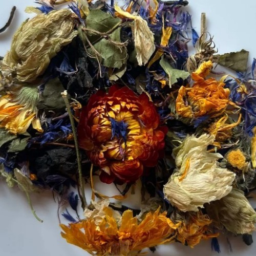 Вдохновение Алтая: ретрит в женской мини-группе с проживанием в уединённых домиках