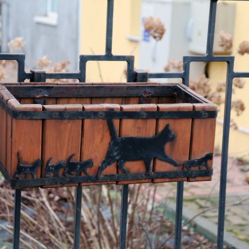 Комфорт-тур в Калининград в мини-группе с проживанием в глэмпинге: экскурсии и дегустация