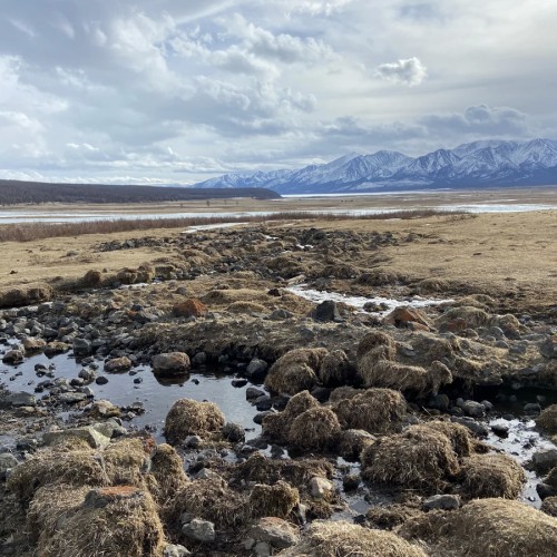 В окружении Саян: тур по Аршану и Монголии