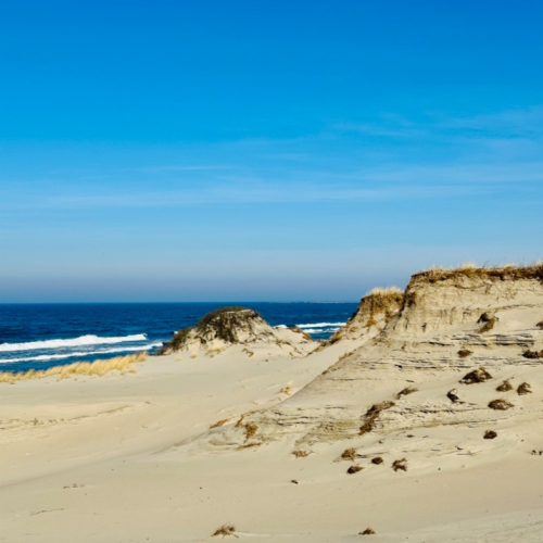 Персональная перезагрузка на Балтийской косе