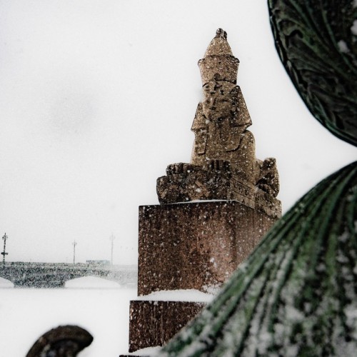 Фантастические твари и где они обитают в Санкт-Петербурге