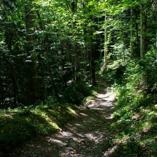 От Псебая до Красной Поляны: поход по горам с выходом к морю