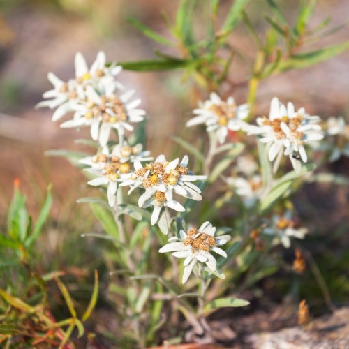 Тажеранские степи и Байкал: автопутешествие в мини-группе с прогулками и выездом из Иркутска