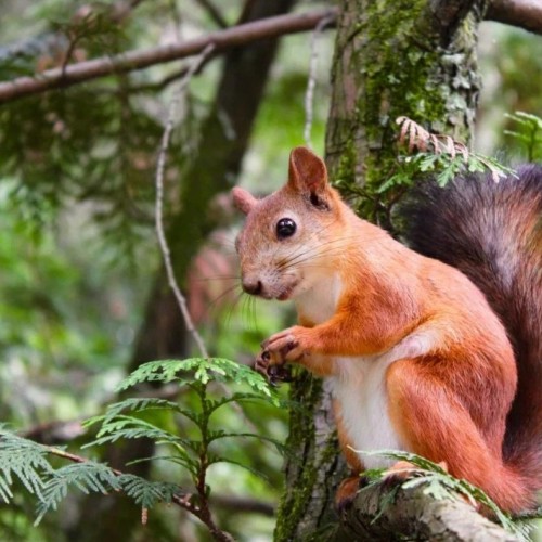 Комфортный треккинг-тур по национальным паркам Южного Урала