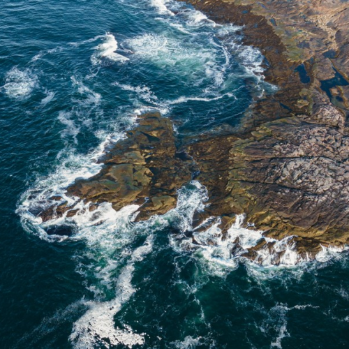 Дары Кольского полуострова в мини-группе: арктические деликатесы и культура саамов