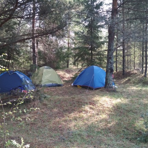 По тропам Торжокского района: пеший поход с рюкзаками