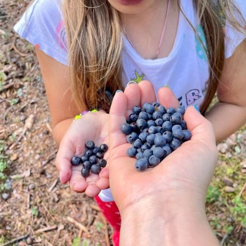 Перезагрузка в Приладожье с йогой, баней, сибирским чаном и сапами (всё включено)