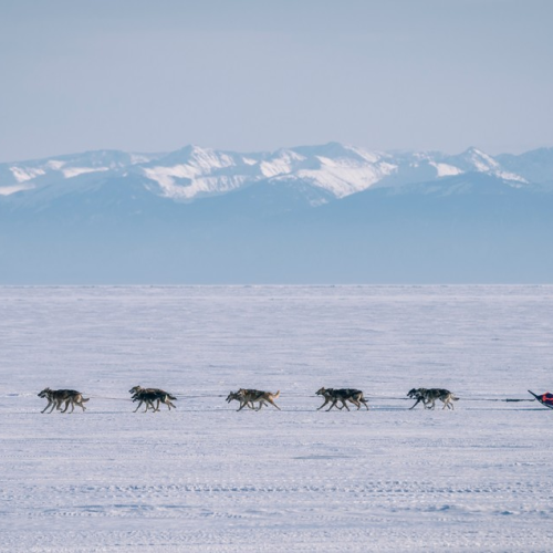 Царство льда: путешествие «всё включено» по главным достопримечательностям Байкала