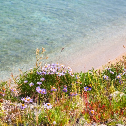 Экспресс-тур на Байкал: выходные на Ольхоне в окружении удивительных пейзажей