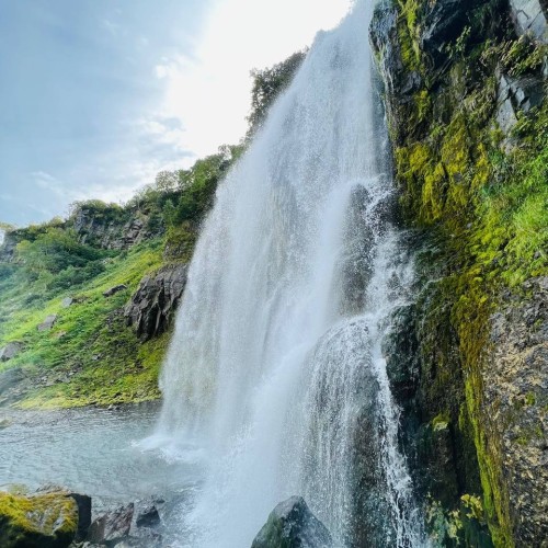 Большое путешествие по Камчатке: вулканы, глэмпинг в Мёртвом лесу и круиз в бухту Русская