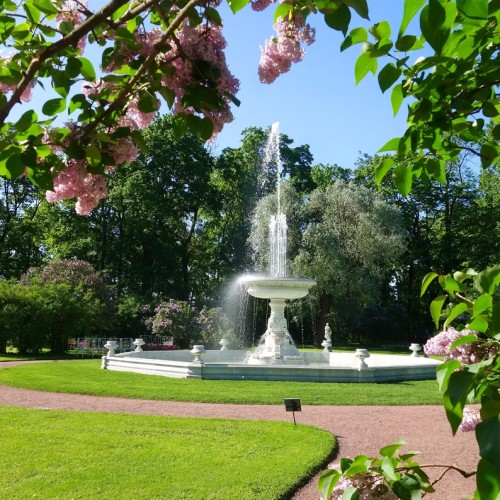 Автобусная экскурсия в Царское Село — всё включено