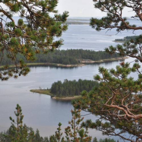 Путешествие-перезагрузка у Белого моря только для вас: природа Кандалакши и древний лабиринт