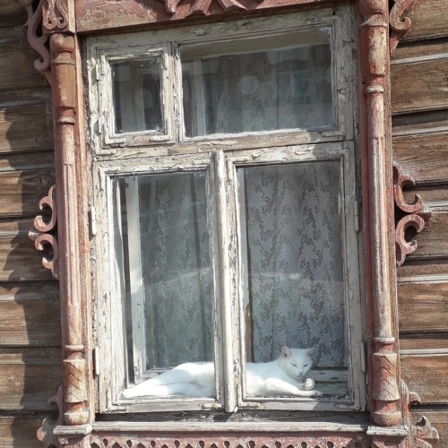 Барнаул сто лет назад