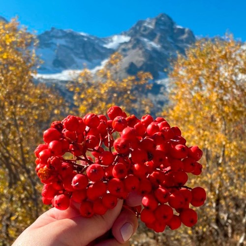 Семейный треккинг в Дигории с размещением в гостинице