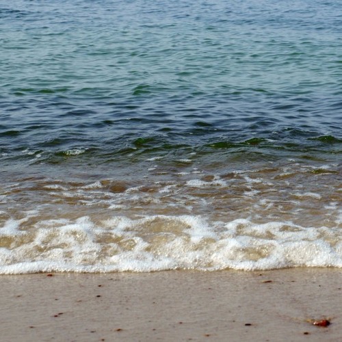 Балтийское побережье и Калининград за 4 дня