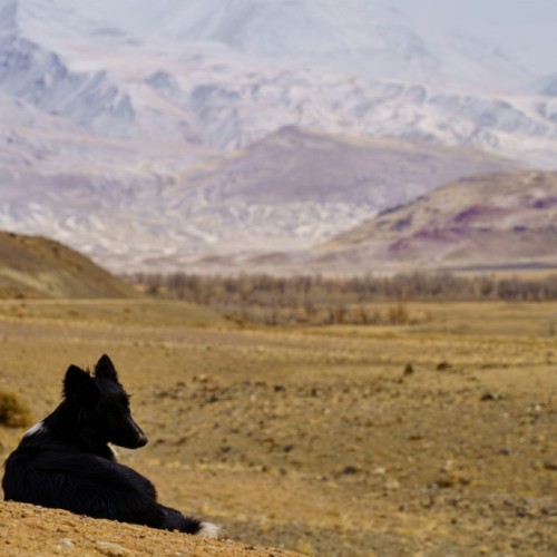И уносит меня, и уносит меня в звенящий снежный Алтай (мини-группа)