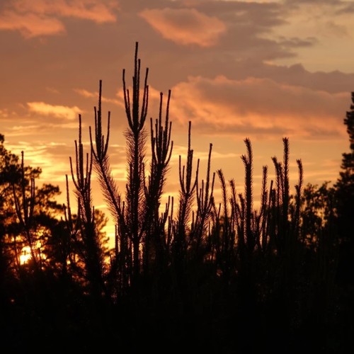 На выходные к Байкалу: Малое Море, Тажеранские степи и река Бугульдейка